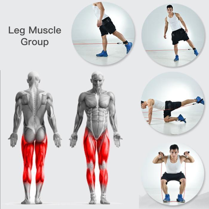 GameHunter® Resistance Bands - GameHunterStore